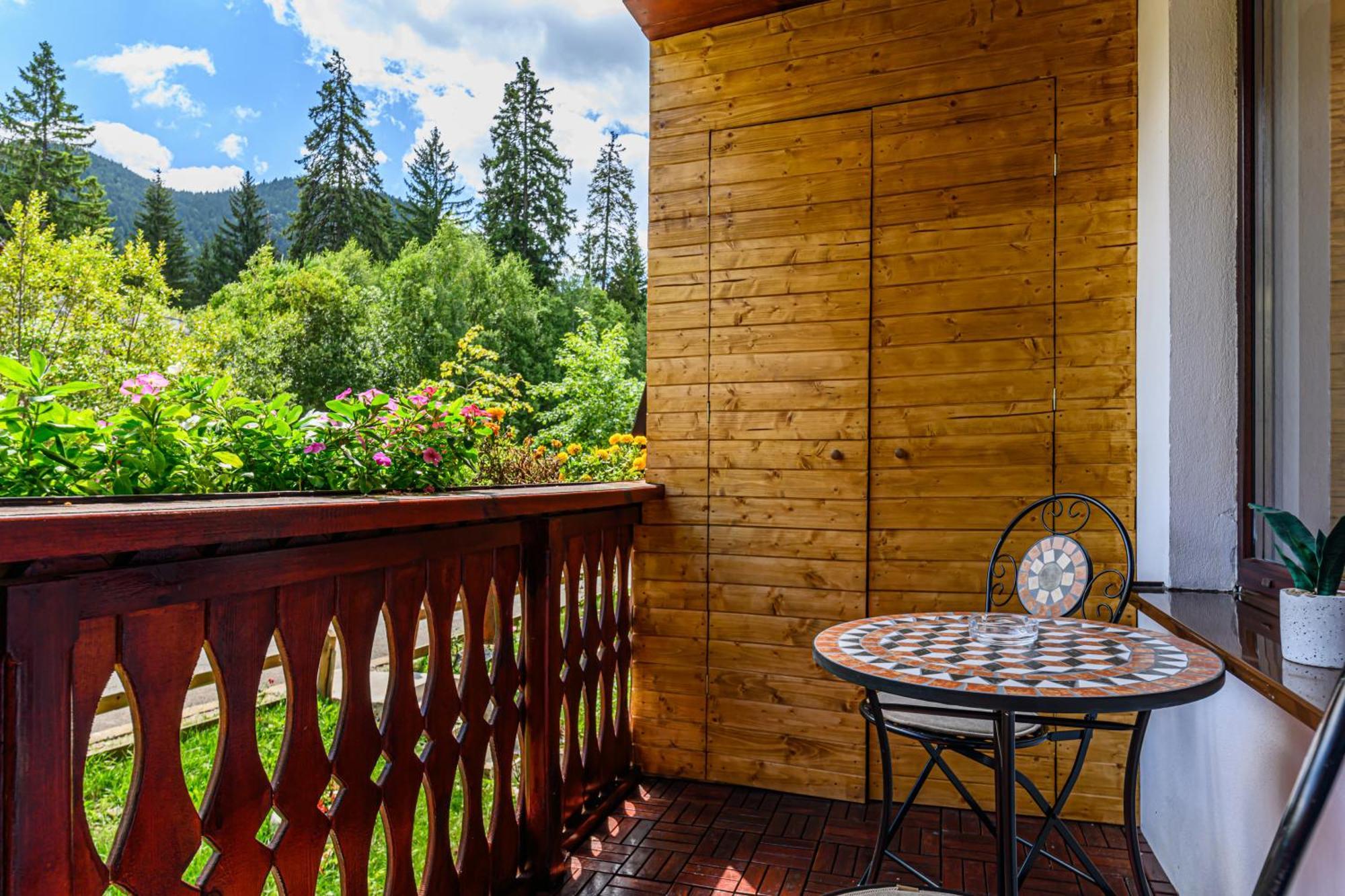 Studio Enis Poiana Brasov Bagian luar foto
